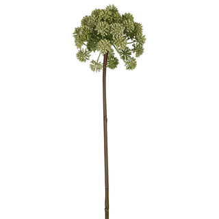 Allium 98cm Green