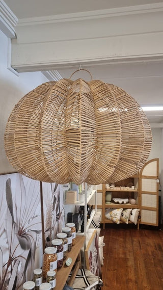 Pendant Light