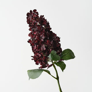Hydrangea Cone Burgundy