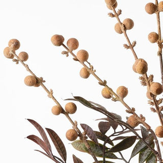 Dried branches with brown spherical fruits and green leaves on a white background