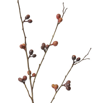 Bean Branch Burgundy