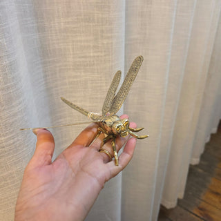 Hand holding a gold dragonfly-shaped object against a light curtain background