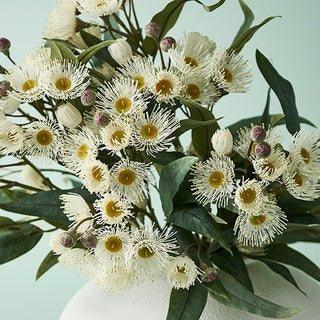 Bouquet of white flowers with green leaves on a light blue background