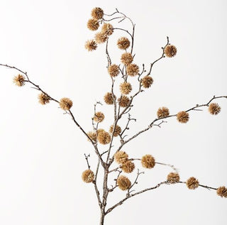 Sycamore Spray