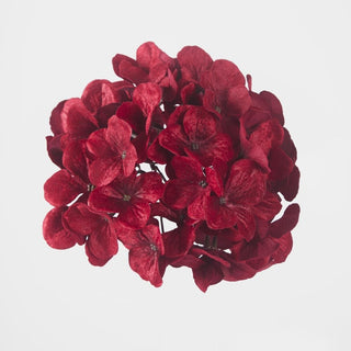 Bouquet of red flowers on a light gray background