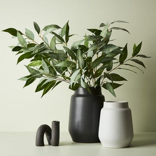 Three vases with a plant on a light green background
