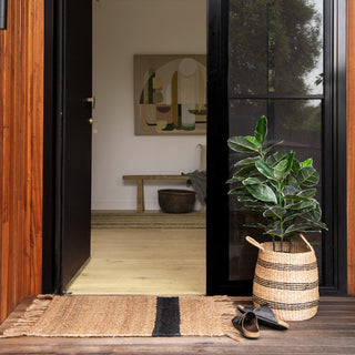Open door leading to a room with a plant in a woven basket on a wooden floor.