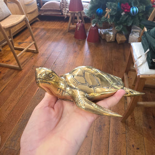 Brass Turtles