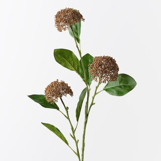 Allium Spray