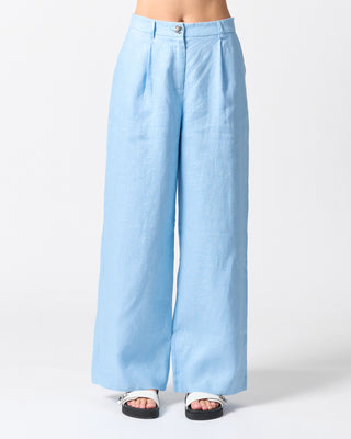 Light blue wide-leg pants on a white background