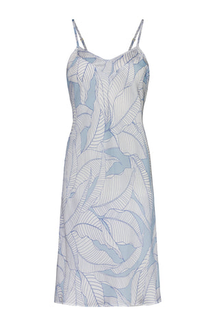 Remy Blue