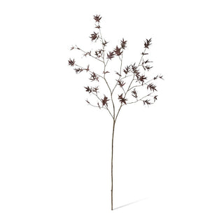 Maple Japanese Stem