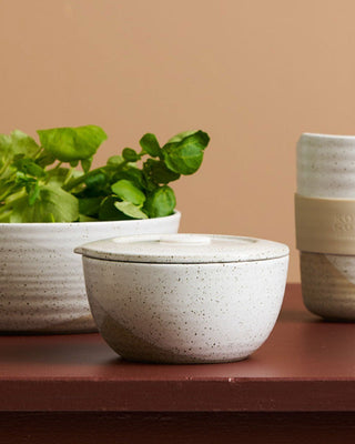 Three ceramic containers with a plant on a brown surface against a beige background