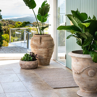Fraser Outdoor/Indoor