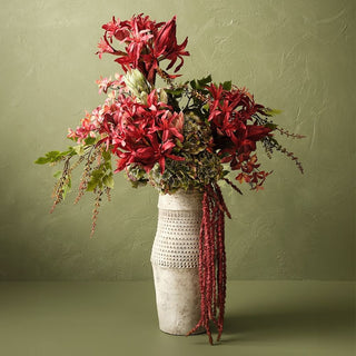 Queen Protea