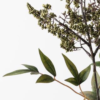 Close-up of a branch with green leaves and berries on a white background