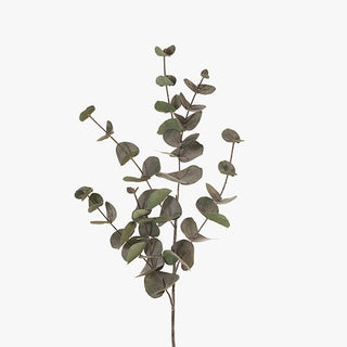 Artificial eucalyptus branch on a white background