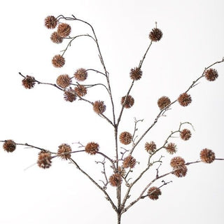 Sycamore Spray