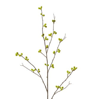 Bean Branch Green
