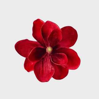 Red flower on a light gray background