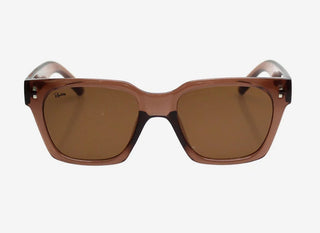 Brown sunglasses with a clear frame on a white background