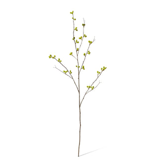 Bean Branch Green