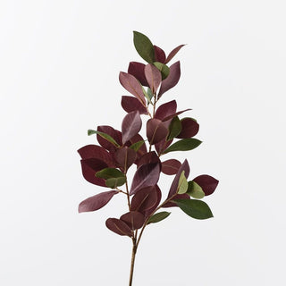 Pomegranate Leaf Spray