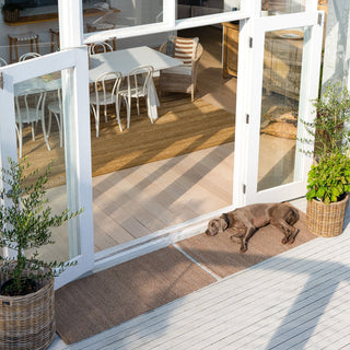 Dog lying on a wooden deck with a glass door leading to a dining area.