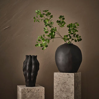 Triangle Ficus Spray