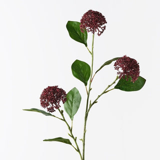 Allium Spray