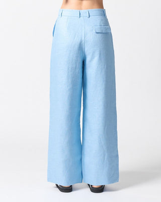 Light blue wide-leg pants on a white background