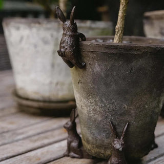 Benny Hare Cast Iron Pot Hugger