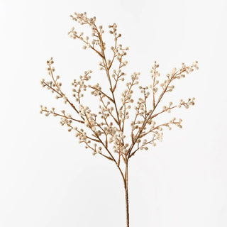 Wattle Spray