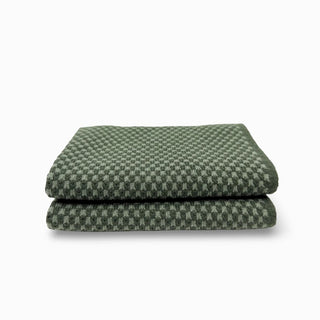 Elements Dishcloth 2 Pack