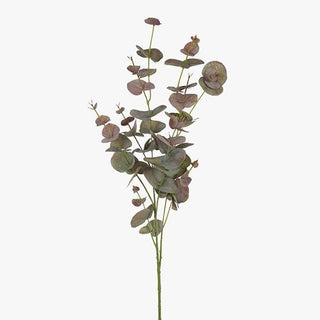 Artificial eucalyptus branch on a white background