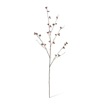Bean Branch Burgundy