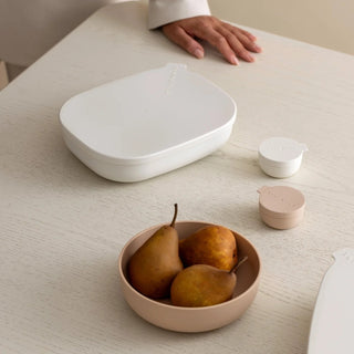 Nesting Tray 2 piece set