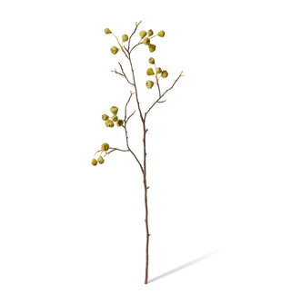 Mountain Apple Berry Branch