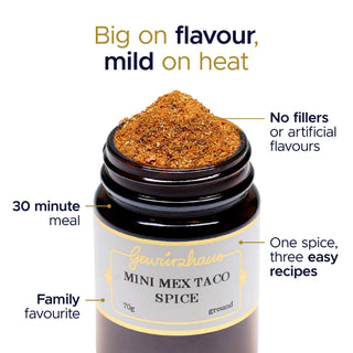 Mini Mex Taco Spice