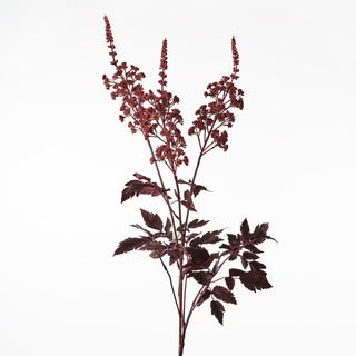 Artificial plant branch with red flowers and leaves on a white background