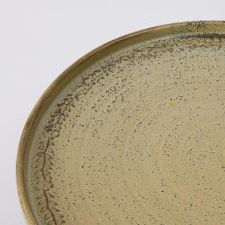Close-up of a ceramic plate with speckled glaze on a white background