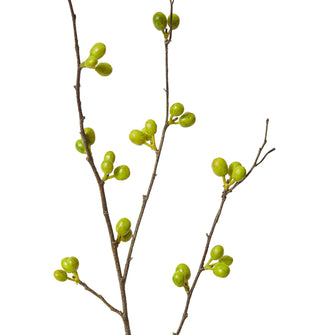 Bean Branch Green