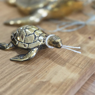 Brass Turtles