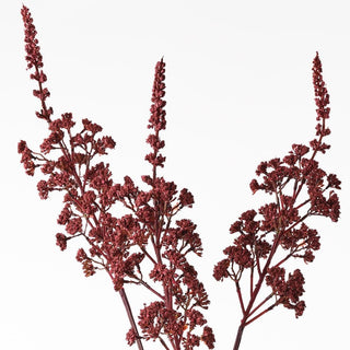 Red floral branches on a white background