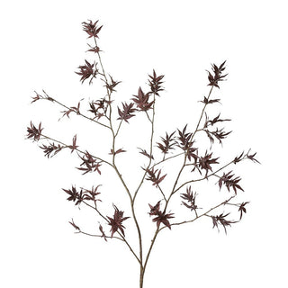 Maple Japanese Stem