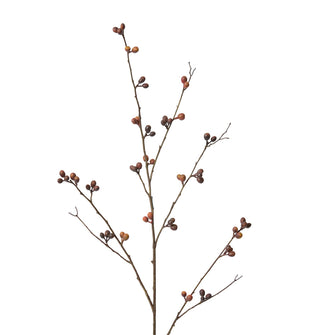 Bean Branch Burgundy