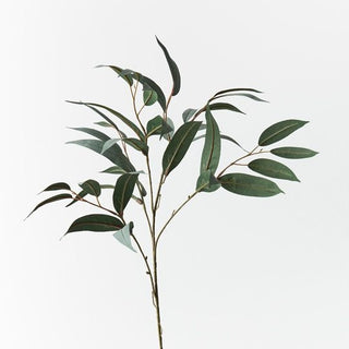 Eucalyptus Long Leaf Spray