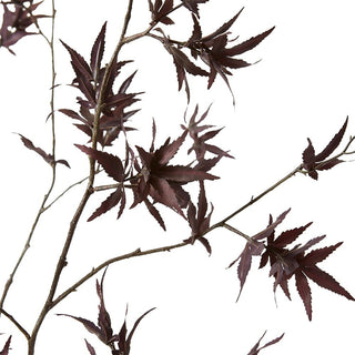 Maple Japanese Stem