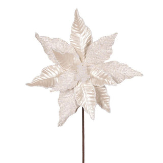 White Pearl Leaf Poinsettia