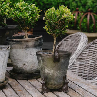 Benny Hare Cast Iron Pot Hugger